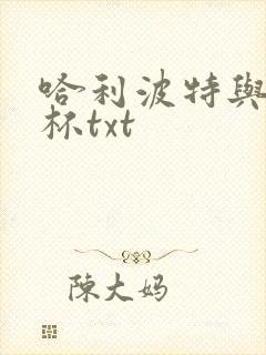 哈利波特与火焰杯txt