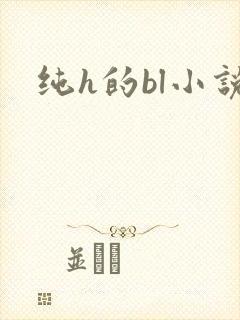 纯h的bl小说