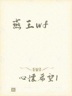 燕王wf