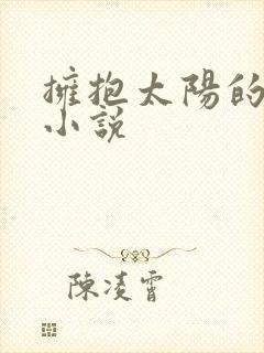 拥抱太阳的月亮小说