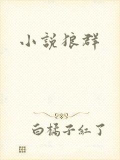 小说狼群
