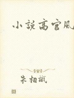 小说高官风流