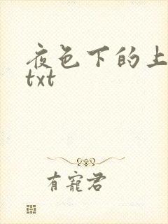 夜色下的上海滩txt