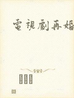 电视剧再婚家庭