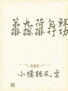 第九荷包鲜辣肉排总排行功能介绍