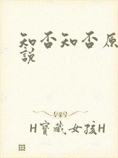 知否知否原著小说