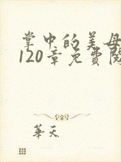 掌中的美母版主120章免费阅读