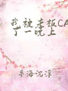 我被老板CAO了一晚上