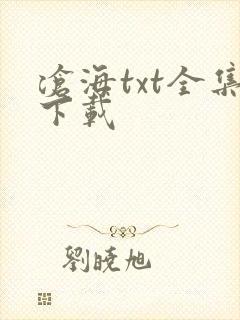沧海txt全集下载