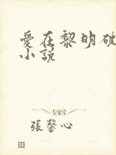 爱在黎明破晓前小说