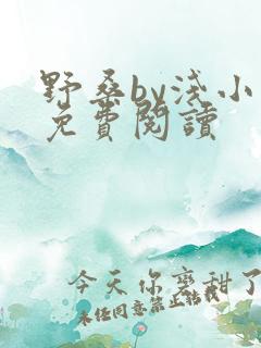 野桑by浅小说免费阅读