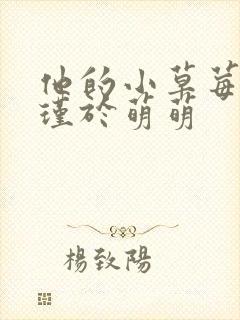 他的小草莓沈修瑾于萌萌