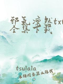 邪气凛然txt全集下载