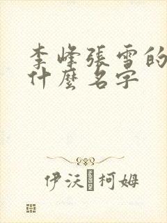 李峰张雪的书叫什么名字