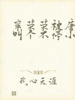 宁荣荣被唐三桶叫个不停小说