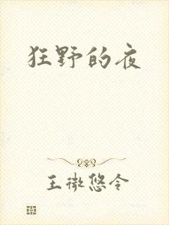 狂野的夜