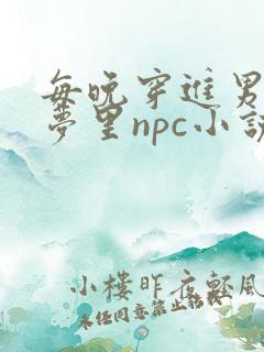 每晚穿进男神的梦里npc小说
