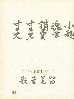 寸寸销魂小说全文免费笔趣阁