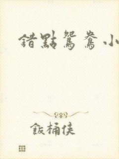 错点鸳鸯小说