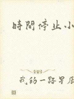 时间停止小说