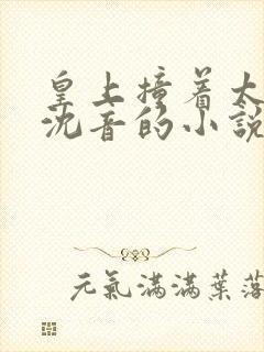 皇上撞着太子妃沈音的小说叫什么