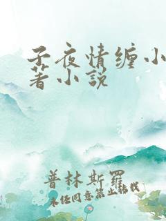 子夜情缠小说原著小说