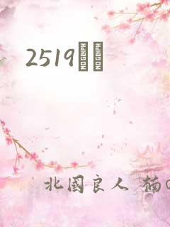 2519С˵