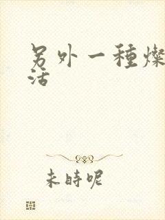 另外一种灿烂生活