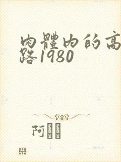 肉体内的高速公路1980