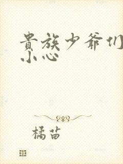 贵族少爷们 请小心