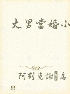 大男当婚小说