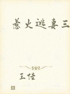 惹火逃妻三带一