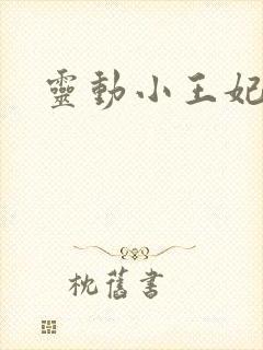 灵动小王妃