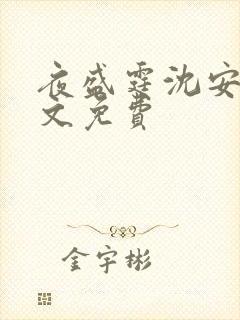 夜盛霆沈安然全文免费