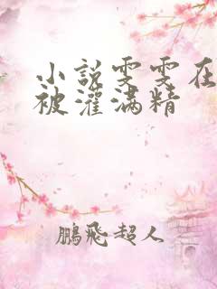 小说雯雯在工地被灌满精