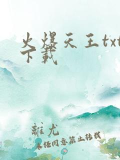 火爆天王txt下载