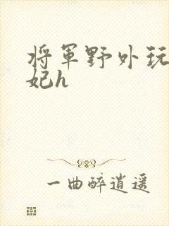 将军野外玩弄贵妃h