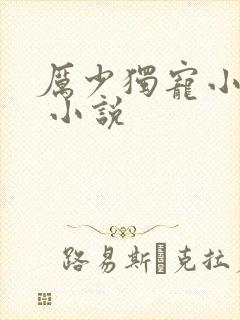 厉少独宠小娇妻 小说