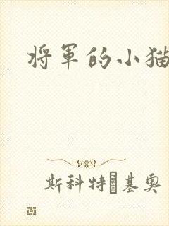 将军的小猫咪