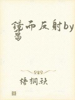 镜面反射by九葛