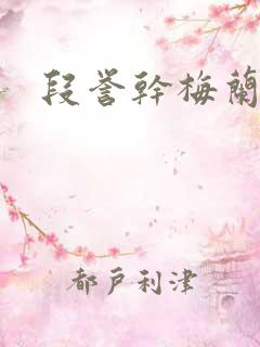 段誉干梅兰竹菊