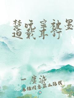 楚晚宁被墨燃强迫戴耳钉