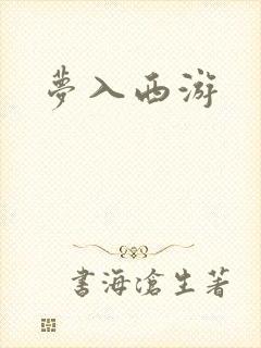 梦入西游