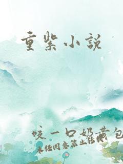 重紫小说