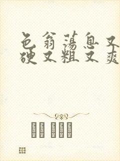 色翁荡息又大又硬又粗又爽