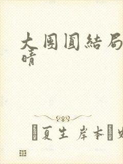 大团圆结局苏玉晴