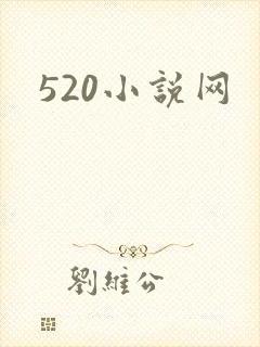 520小说网