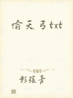 偷天弓txt