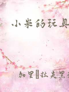 小米的玩具日记