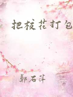 把校花打包带走